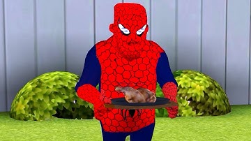 Playing as Spider-Man in Scary Stranger 3D / Spider-Man Francis Gameplay Walkthrough (IOS ANDROID)