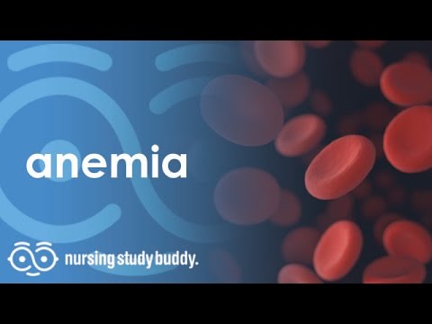 Anemia - Nursing Study Buddy Video Library