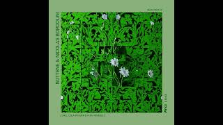 Bottene & Nicolas Bordolini - Reaction [Prk043]