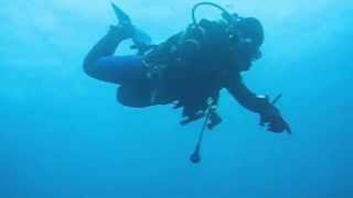 A Typical Cocos Dive
