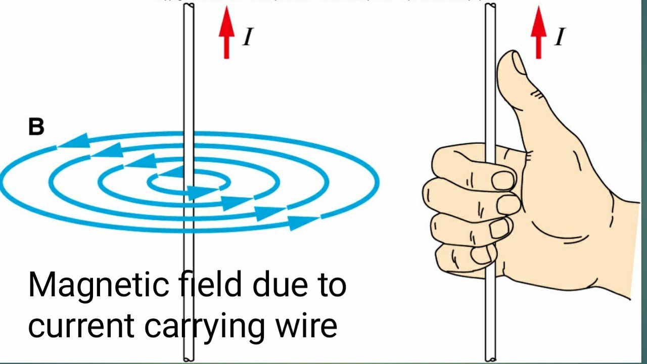 Направление силовых линий магнитного поля можно определить. Магнитное поле прямого проводника с током. Силовые линии магнитного поля проводника с током. Линии магнитного поля проводника с током. Изобразите магнитное поле прямого проводника с током.