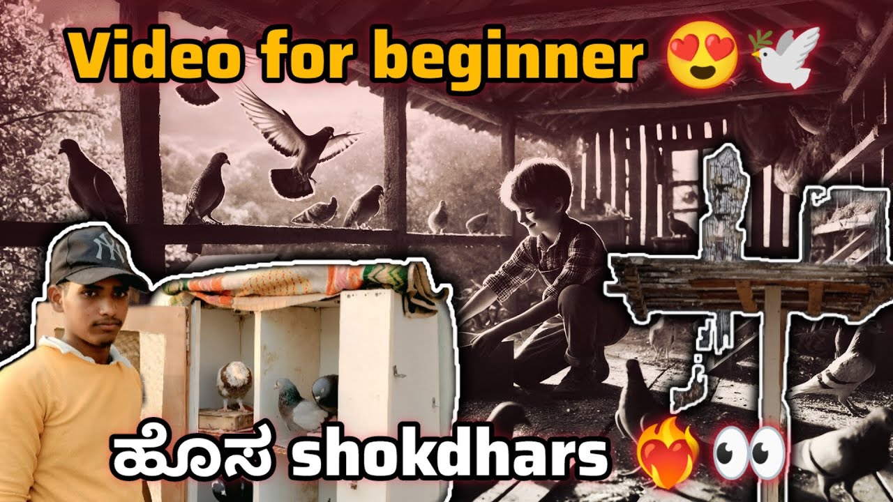 How to keep pegions in home An  best example for beginners in Kannada ||Prince loft||ನೀವು 😍🕊️