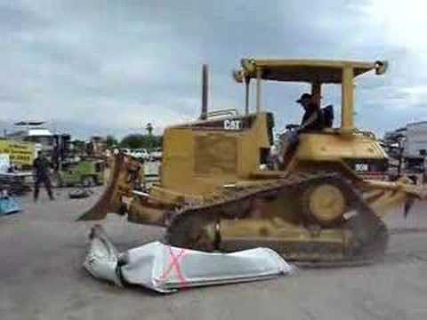 Cat Vs. Pickup Bed