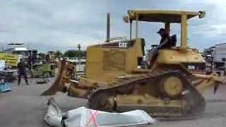 Cat Vs. Pickup Bed