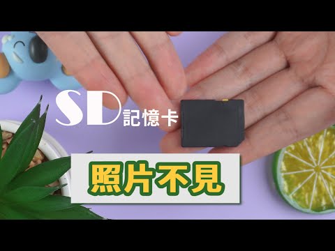 【SD 記憶卡照片誤刪】如何救回 SD 記憶卡的照片？解決 SD 記憶卡照片不見的疑難問題！