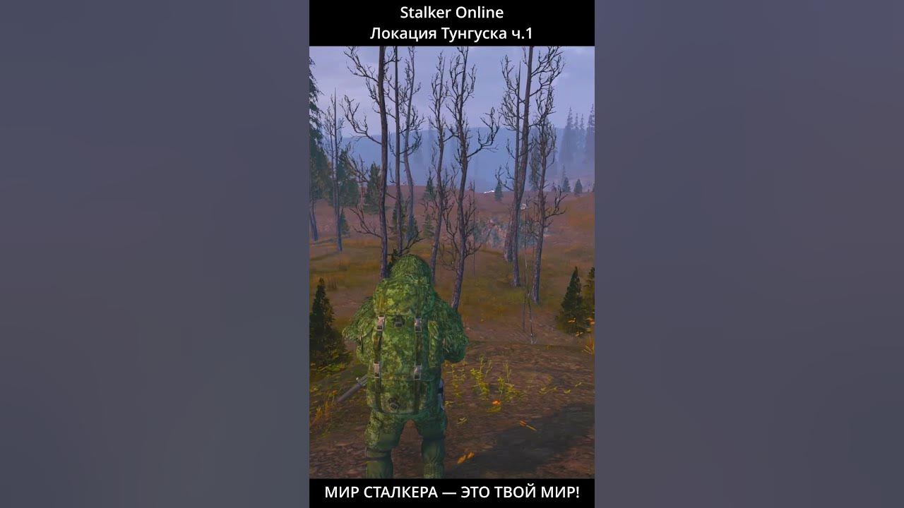 Stalker Online - Тунгуска Ч.1 - YouTube