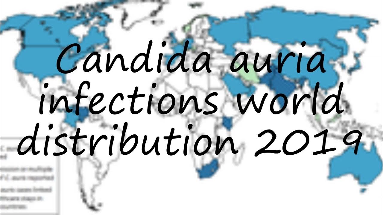 How to pronounce Candida auria infections world distribution 2019 in