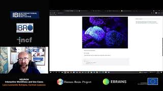 Bologna Luca Leonardo & Lupascu Carmen - NEURON - Interactive Workflows and use-cases