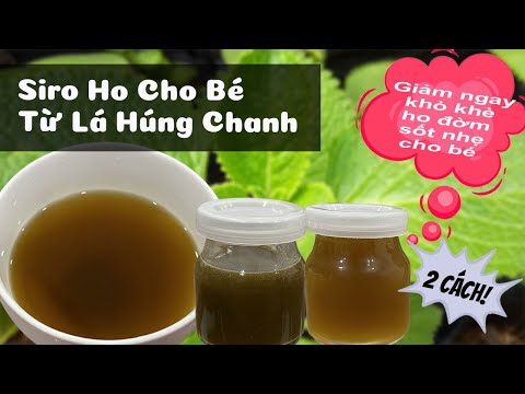 2 Cách Làm Siro Ho Cho Bé Bị Cảm Cúm - Ho Khò Khè - Sốt từ Lá Húng Chanh