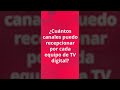 ¿Cuántos canales puedo recepcionar por cada equipo de TV digital?