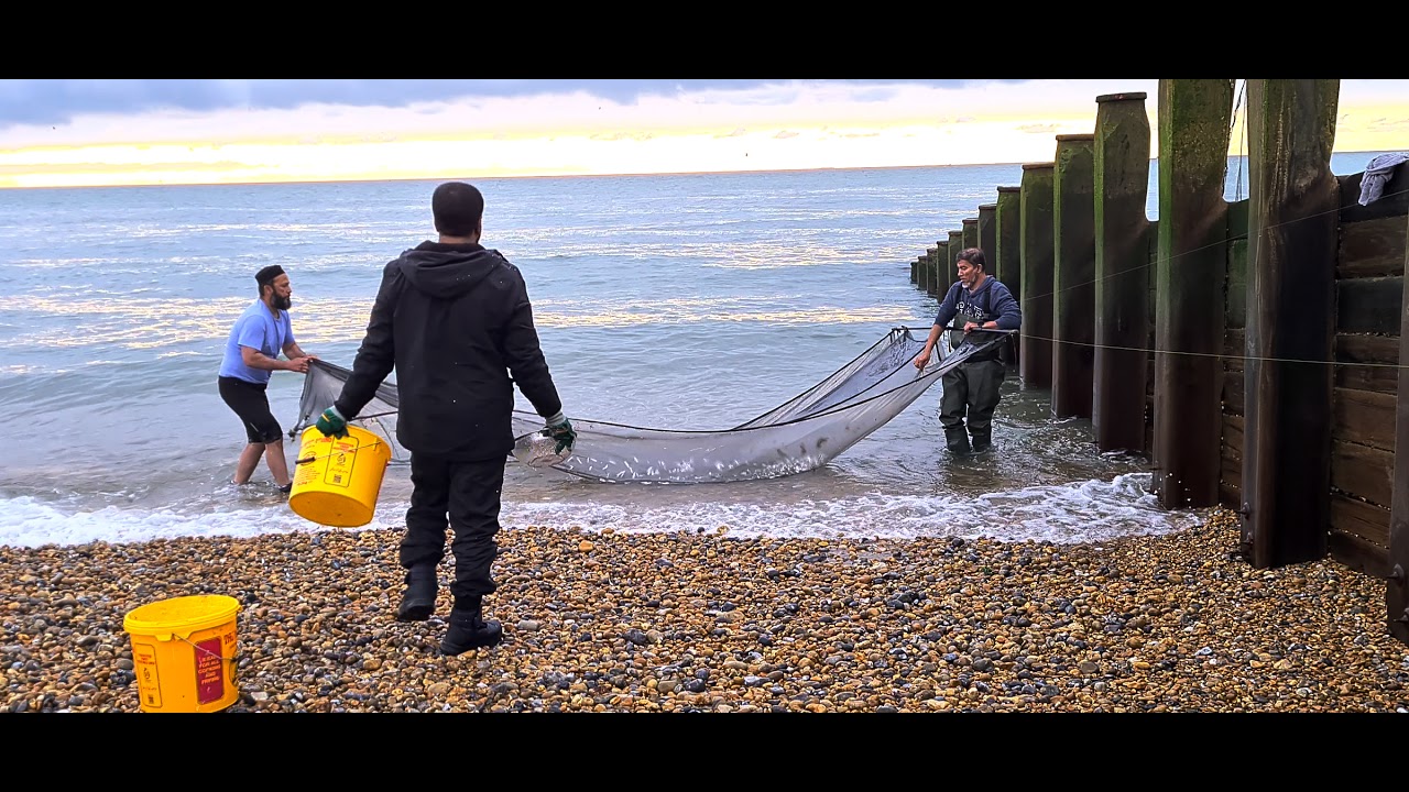 UK SEA FISHING ) Catch small fish eastbourne uk YouTube