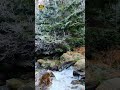 Cascading Water – Your Brain Needs This #focusmusic #deepsleep #shorts