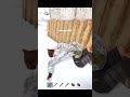 Почти прошли игру… #раст #rust #выживание #рейд #hfcn #кгые
