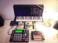 Korg Mini Ms20 + Akai Mpc 1000 Demo + Roland tb-3 - Nu Disco (Microesfera Demo)