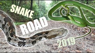My Trip to SNAKE ROAD Fall 2019!