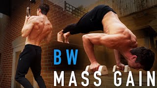 Mass Gain For Rehab? Full Bodyweight Workout | Training Vlog