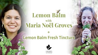 Lemon Balm with Maria Noël Groves + Lemon Balm Fresh Tincture