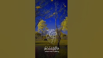 @وإن ربك ليعلم ما تكن صدورهم وما يعلنون من سورة النمل