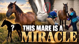 I Bought This Mare… Then Found Out She Was Pregnant With WHAT?!