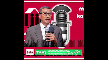 Beesha Hawiye Ayaa Xil Gaar Ah Saaranyahay Inay Xasan Shiikh Dalka Ka Qabtaan 