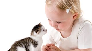 Посмотрите!Кошки прикольно играют с детьми!Интересно и смешно! Посмотрите!Кошки прикольно играют с детьми!Интересно и смешно!