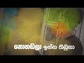 Nohadala Inna- Hashan Balasuriya Ft Sai (Animated Lyric Video)