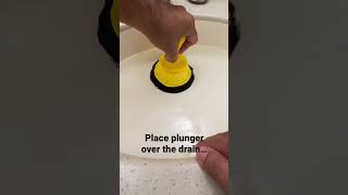 How to Unclog a Sink | Basic Life Skills