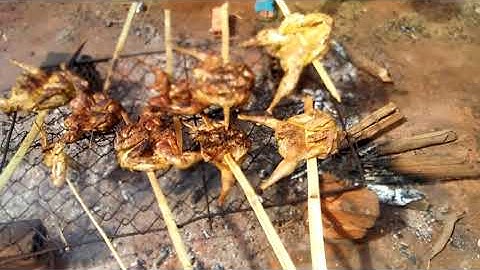 Phong tục tập quán của người tây nguyên