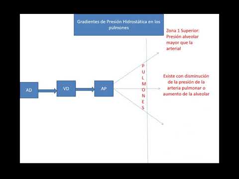 Vídeo: Diferencia Entre Derrame Pleural Y Edema Pulmonar