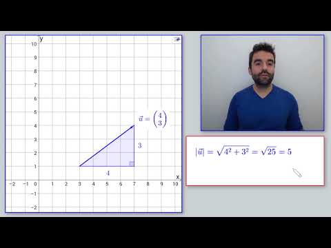 Video: Hoe De Lengte Van Een Vector Te Bepalen?