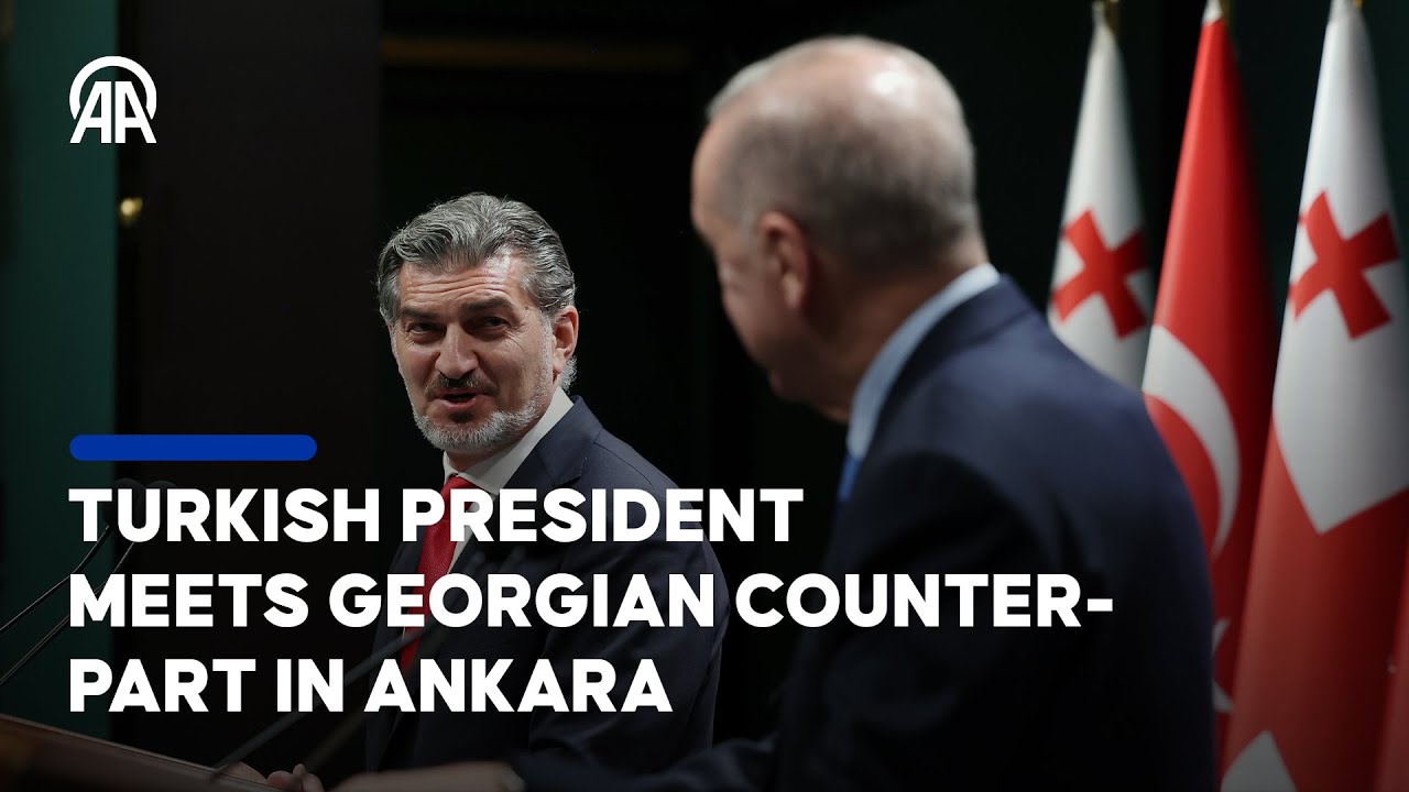 Turkish president meets Georgian counterpart in Ankara