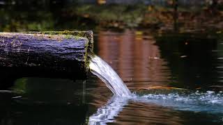 صدای آرامبخش آب به همراه آوازشیرین پرندگان|چشمه ی آب|وایت نویز|صدای سفید|ریلکسیشن