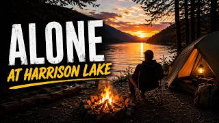 Alone at a Secluded Campsite at Harrison Lake (Solo Camping)