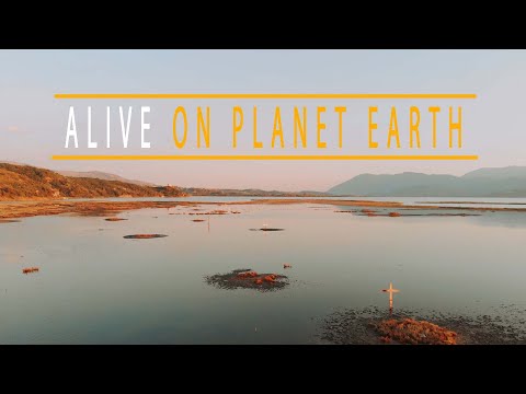 Alive on Planet Earth