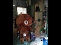 THÚ BÔNG BROWN ĐẠI NHỒI TẠI XƯỞNG