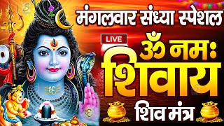 LIVE : बुधवार स्पेशल : ॐ नमः शिवाय धुन | Om Namah Shivaya ShivDhun | NonStop ShivDhun | Mantra