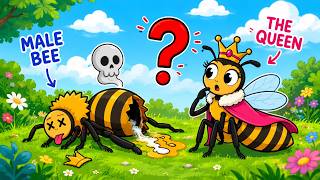 Why is there only a queen bee and not a king bee