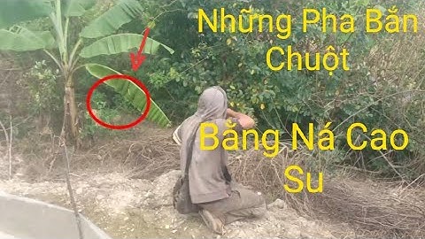 Săn Bắn Chuột Bằng Ná Cao Su  _ Siêu ná thủ xả Đạn cái kết....