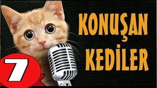 Konuşan Kediler 7 1. Sezon Karişik