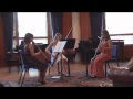 Miniature de la vidéo de la chanson Suite D'après Corrette: Iv. Serenade