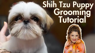 Adorable Shih Tzu Puppy Grooming Tutorial