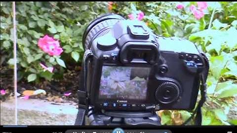 Depth of Field Tutorial