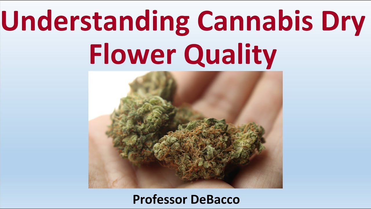 Understanding Cannabis Dry Flower Quality