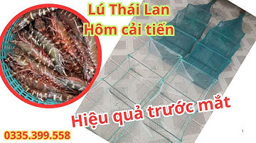 12 cửa ngục lú thái lan hôm cải tiến khung 23 x 37 đánh biển, o335,399,558