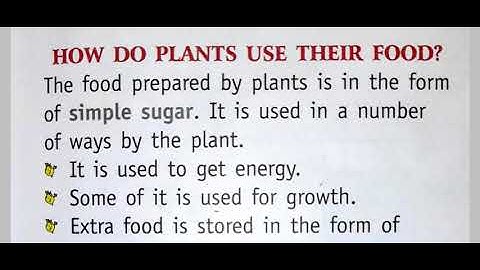 Science Form 4 Chapter 6 Plants preparing and storing food(part 2)