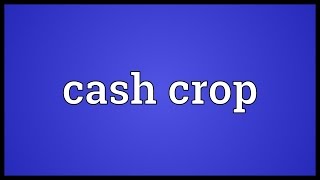 Cash crop Meaning