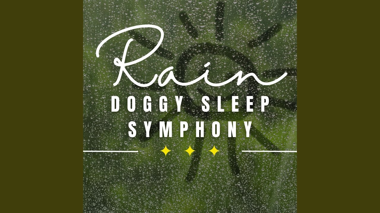 Gentle Rain Dog Dreams