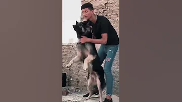 اصل المصرين بيخلفو اسود مش خرفان 