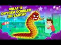 What If Oxygen Doubled in Earth's Atmosphere? | Oxygen Toxicity Effects | The Dr. Binocs Show