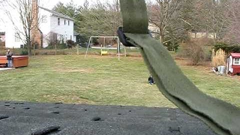 Saving Private Timmy